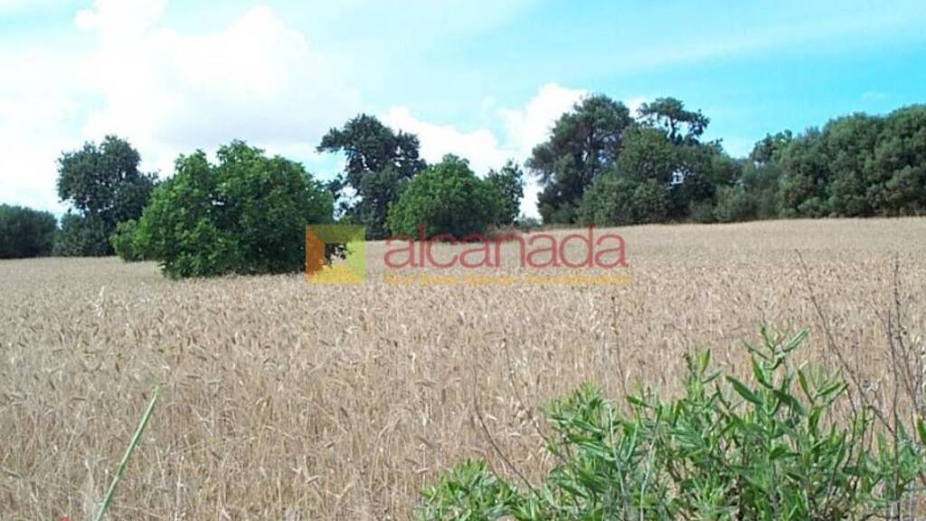 Grundstück zum Kauf 47.000 € 8.822 m² Grundstück Muro 07440