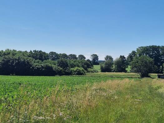 Grundstück zum Kauf 187.000 € 4.100 m² Grundstück frei ab sofort Oelstorf Salzhausen 21376