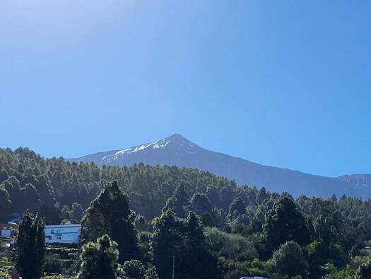 Einfamilienhaus zum Kauf provisionsfrei 320.000 € 6 Zimmer 182,3 m² 364 m² Grundstück Icod de los Vinos 38438