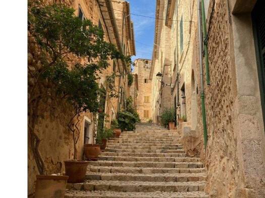 Haus zum Kauf 1.800.000 € 5 Zimmer 340 m² 100 m² Grundstück Fornalutx 07109