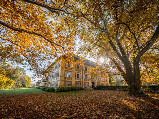 Gewerbegrundstück zur Miete 5,50 € 1.017 m² Grundstück Frauental an der Laßnitz 8523