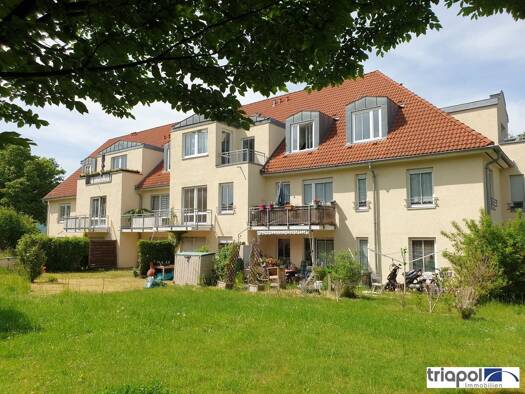 Wohnung zur Miete 350 € 1 Zimmer 39 m² frei ab 15.09.2026 Weißig Ortschaft Schönfeld-Weißig 01328