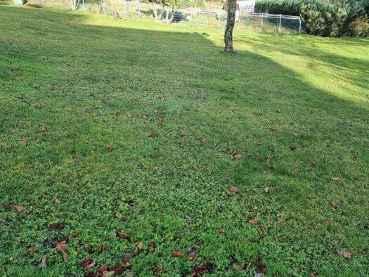 Grundstück zum Kauf 205.000 € 708 m² Grundstück Lottstetten 79807