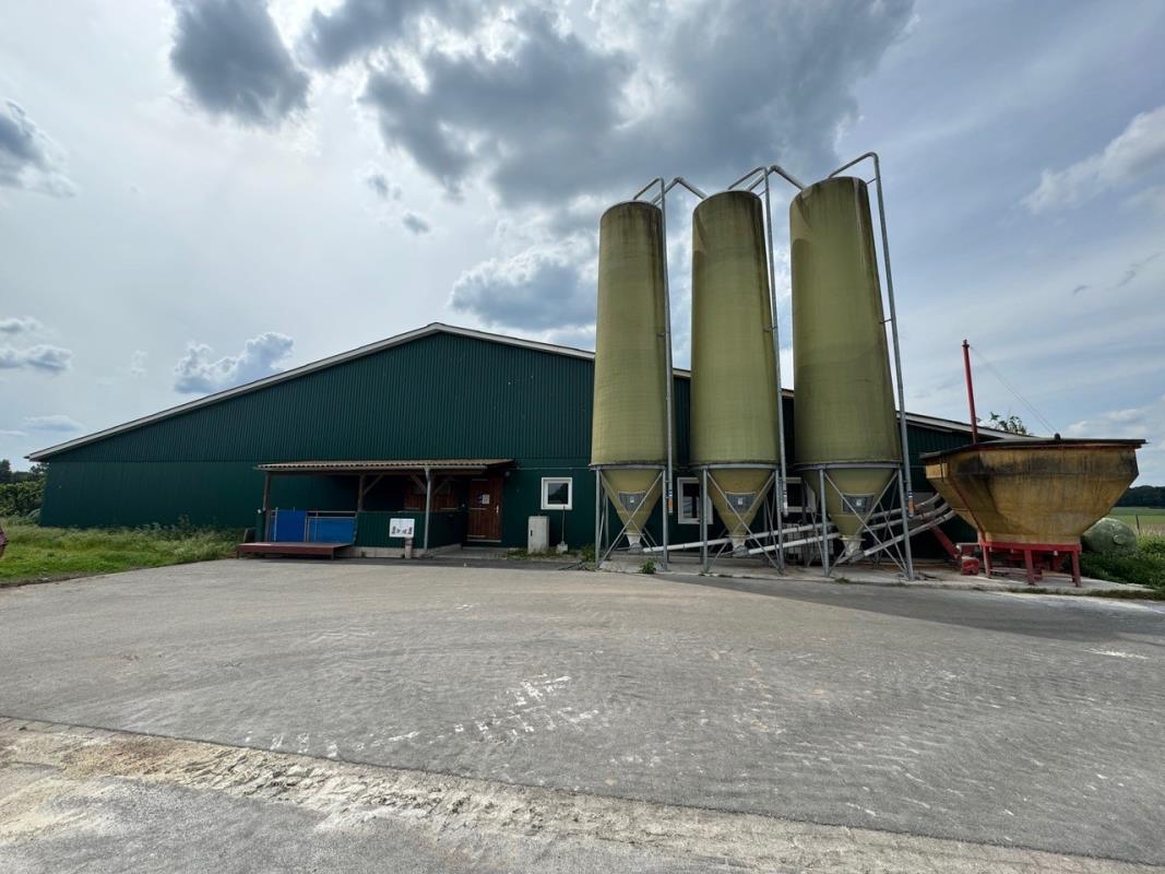 Landwirtschaftliche Fläche zum Kauf 850.000 € 7.170 m²<br/>Grundstück Marklohe Marklohe 31608