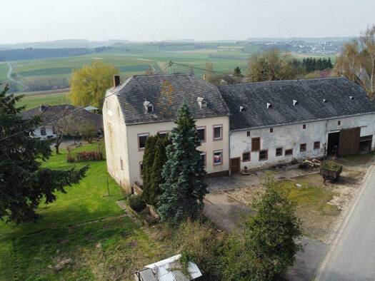 Bauernhaus zum Kauf 235.000 € 7 Zimmer 160 m² 2.200 m² Grundstück Hofweiler Welschbillig 54298