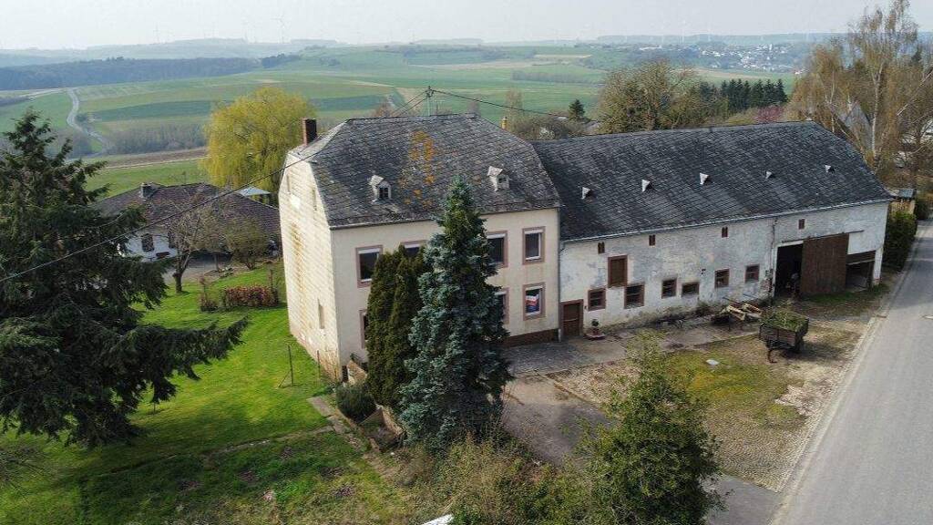Bauernhaus zum Kauf 235.000 € 7 Zimmer 160 m² 2.200 m² Grundstück Hofweiler Welschbillig 54298