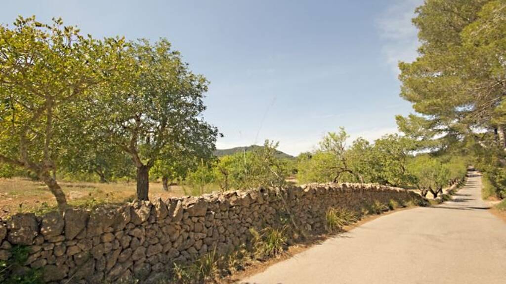 Grundstück zum Kauf provisionsfrei 1.000.000 € 27.000 m² Grundstück Baugenehmigung vorhanden S´Horta