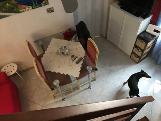 Einfamilienhaus zum Kauf 34.000 € 3 Zimmer 42 m² 42 m² Grundstück Amaroni 88050