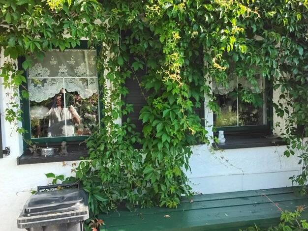 Haus zum Kauf provisionsfrei 79.000 € 3,5 Zimmer 71 m² 380 m² Grundstück Deutschneudorf Deutschneudorf 09548