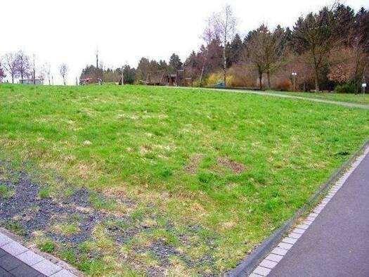 Grundstück zum Kauf provisionsfrei 89.000 € 729 m² Grundstück Mittelhof 57537