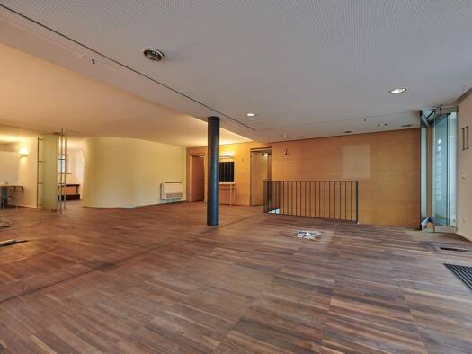 Laden zur Miete Dornbirn 6850