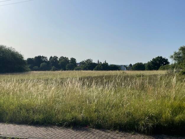 Einfamilienhaus zum Kauf 573.697 € 5 Zimmer 138,5 m² 696 m² Grundstück Riegelsberg 66292