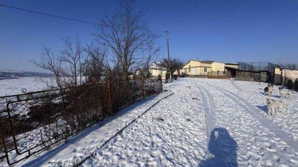 Einfamilienhaus zum Kauf 130.000 € 4 Zimmer 185 m² 100 m² Grundstück Botosani 1