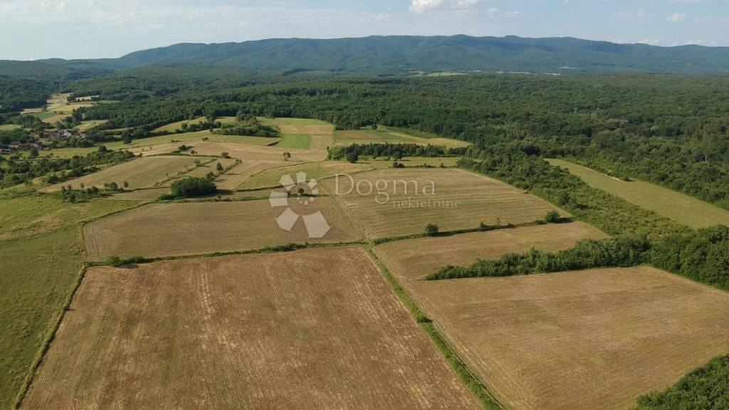Land-/Forstwirtschaft zum Kauf Gornji Bogicevci