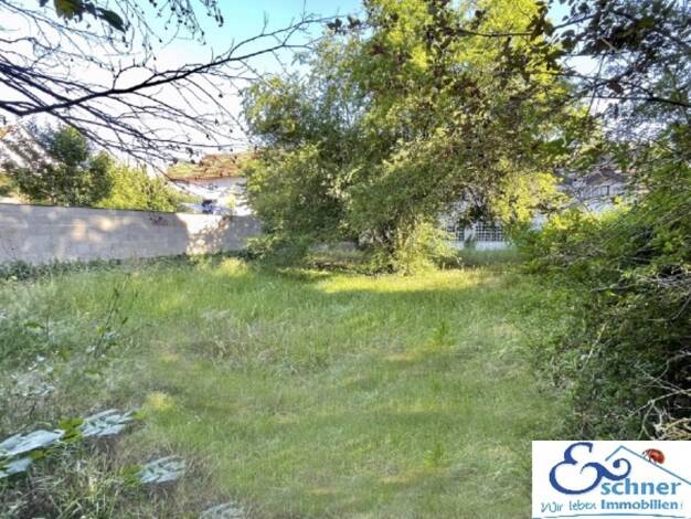 Grundstück zum Kauf 229.500 € 429 m² Grundstück Trebur Trebur 65468