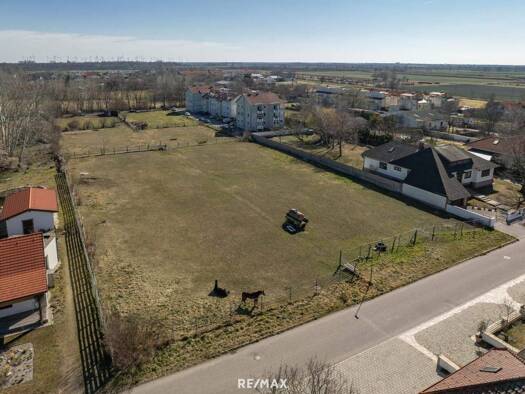 Grundstück zum Kauf 1.450.000 € 5.000 m² Grundstück Gols 7122