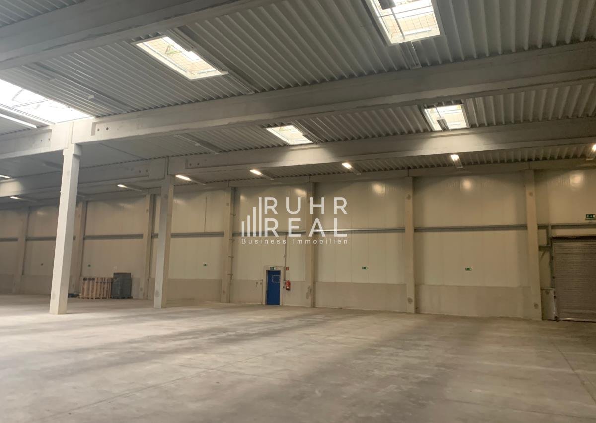 Lagerhalle zur Miete 3.800 m²<br/>Lagerfläche ab 3.800 m²<br/>Teilbarkeit Innenstadt Frechen 50226