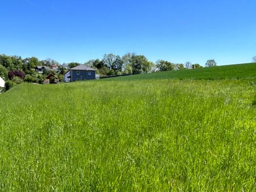 Grundstück zum Kauf 187.000 € 1.100 m² Grundstück Oberlauter Lautertal 96486