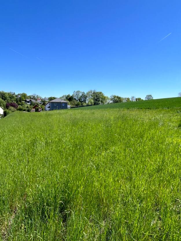 Grundstück zum Kauf 187.000 € 1.100 m² Grundstück Oberlauter Lautertal 96486