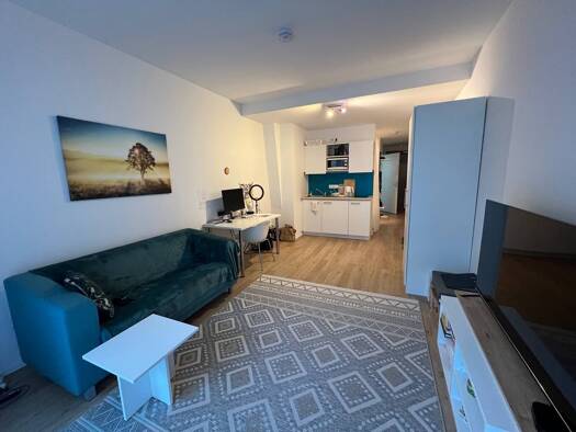 Terrassenwohnung zur Miete 585 € 1,5 Zimmer 32 m² frei ab sofort Schoppershof Nordöstliche Außenstadt 90491