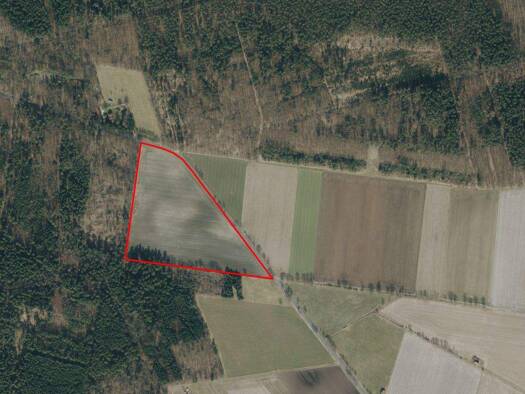 Land-/Forstwirtschaft zum Kauf 652.830 € 65.283 m² Grundstück Schwüblingsen Uetze 31311