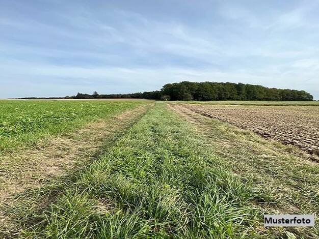 Land-/Forstwirtschaft zum Kauf 11.000 € 3.544 m² Grundstück Kleingemünd Neckargemünd 69151
