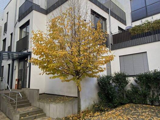 Penthouse zur Miete 1.850 € 3 Zimmer 106 m² Altstadt Würzburg 97070