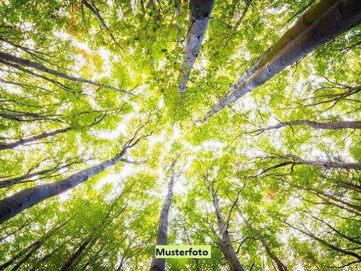 Land-/Forstwirtschaft zum Kauf 49.310 € 18.722 m² Grundstück Floß 92685