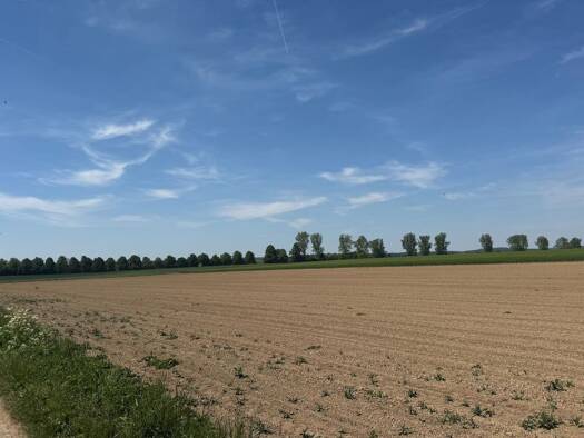 Land-/Forstwirtschaft zum Kauf 60.000 € 7.831 m² Grundstück Wippingen Blaustein 89134