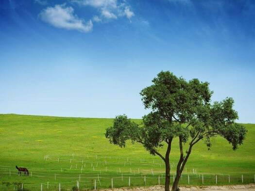 Bauernhaus zum Kauf 690.000 € 13 Zimmer 340 m² 10.115,7 m² Grundstück frei ab sofort Birkacher Straße 13 Burgpreppach 97496