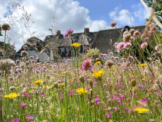 Einfamilienhaus zum Kauf 3.190.000 € 16 Zimmer 1.000 m² 2.635 m² Grundstück Tinnum Sylt 25980