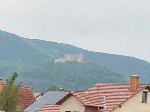 Wohnung zur Miete 675 € 4 Zimmer 90 m² 1. Geschoss Maikammer 67487