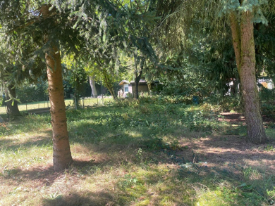 Grundstück zum Kauf 457.000 € 1.300 m² Grundstück Rangsdorf Rangsdorf 15834