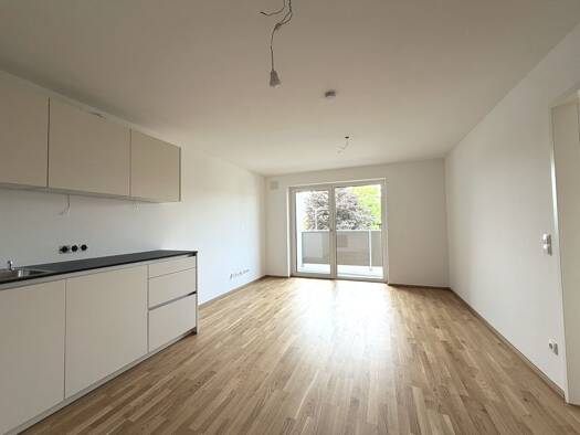 Wohnung zur Miete - Erstbezug 939 € 2 Zimmer 54,6 m² frei ab 01.08.2026 Lustenau 6890