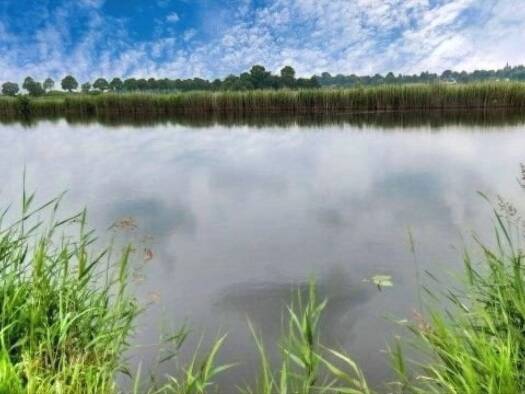 Grundstück zur Miete provisionsfrei 590 € 11.000 m² Grundstück frei ab sofort Breiholz 24797