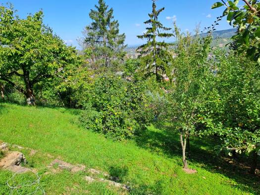 Land-/Forstwirtschaft zum Kauf 49.000 € 1.034 m² Grundstück Stuttgart-Wangen 70327