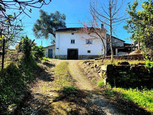 Bauernhaus zum Kauf 120.000 € 4 Zimmer 545 m² 70.000 m² Grundstück Villayón 33718