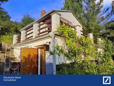 Haus zum Kauf 38.500 € 3 Zimmer 45 m² 2.222 m² Grundstück frei ab sofort Meuserlengefeld Sangerhausen 06526