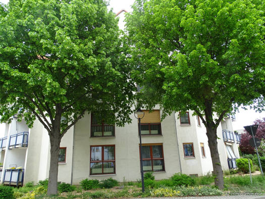Wohnung zum Kauf 177.000 € 3 Zimmer 68 m² Weinböhla 01689
