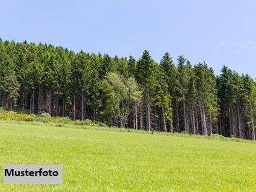 Land-/Forstwirtschaft zum Kauf 21.000 € 6.919 m² Grundstück Inzing 6401