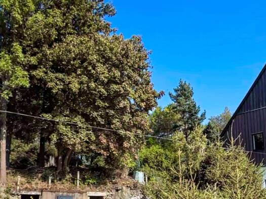 Grundstück zum Kauf 26.000 € 480 m² Grundstück Altenberg 01773