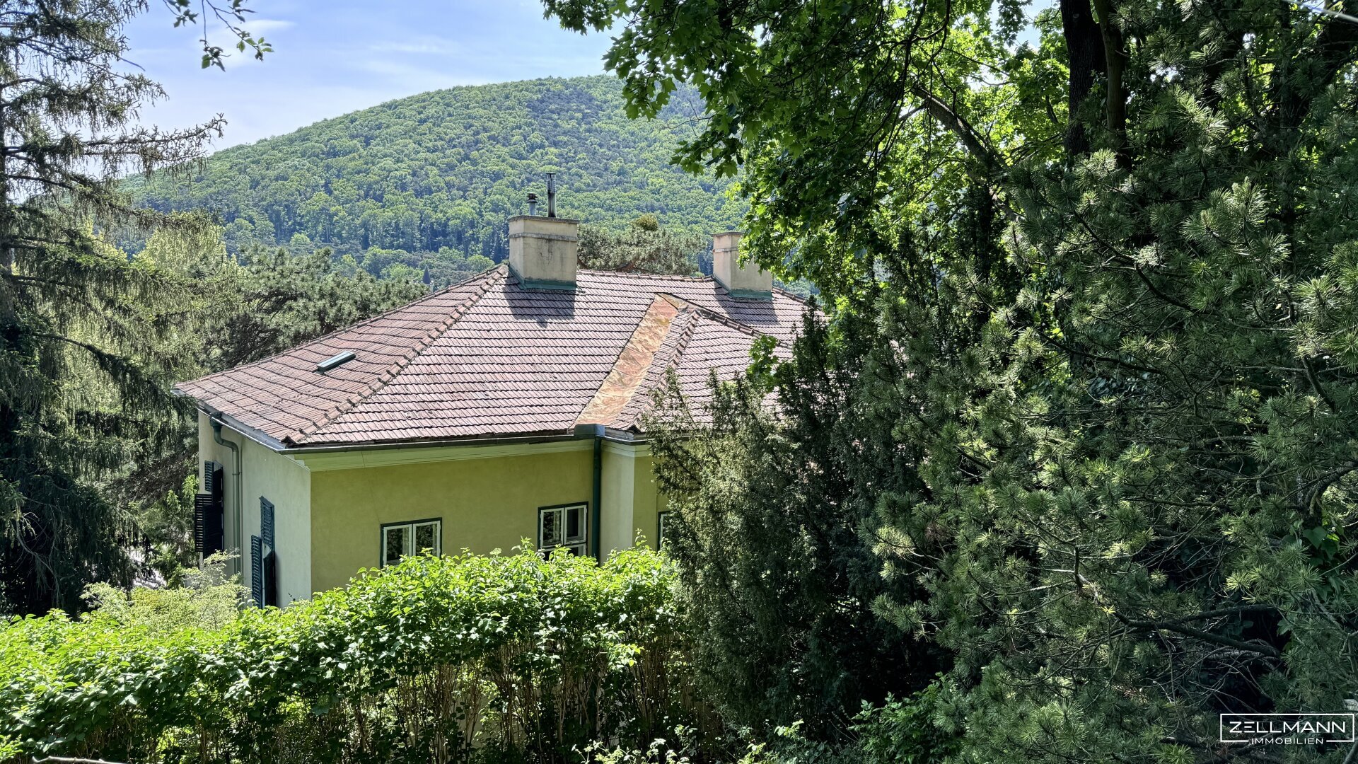 Villa zum Kauf 2.995.000 € 11 Zimmer 300 m²<br/>Wohnfläche 2.641 m²<br/>Grundstück Hinterbrühl 2371