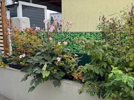 Einfamilienhaus zum Kauf 560.000 € 4 Zimmer 107 m² 80 m² Grundstück frei ab sofort West Ludwigsburg 71636