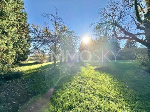 Grundstück zum Kauf 600.000 € 750 m² Grundstück Fußach 6972