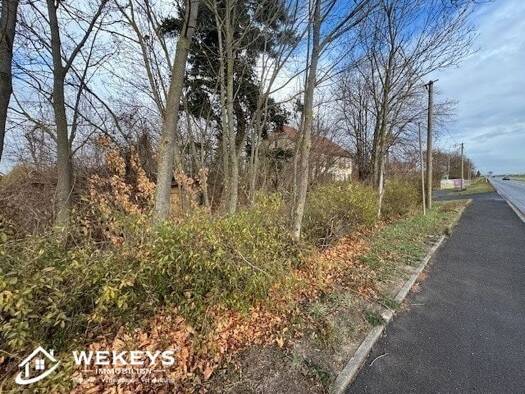 Grundstück zum Kauf 35.000 € 1.100 m² Grundstück Gamstädt Nesse-Apfelstädt 99192