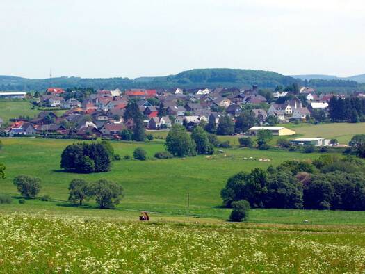 Grundstück zum Kauf 50.000 € 781 m² Grundstück Fehl-Ritzhausen 56472