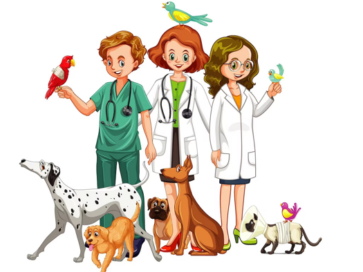 Praxisfläche zur Miete 950 € 5 Zimmer Leer 26789