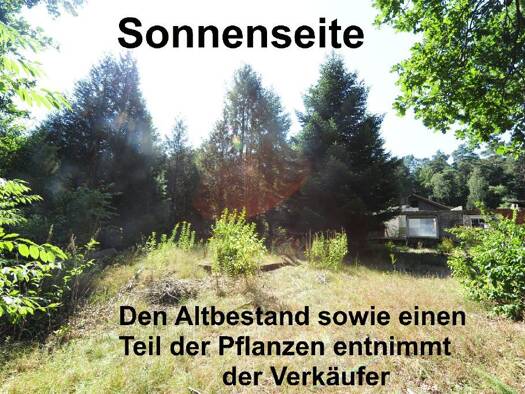 Grundstück zum Kauf 229.000 € 1.224 m² Grundstück frei ab sofort Seppensen Buchholz in der Nordheide 21244