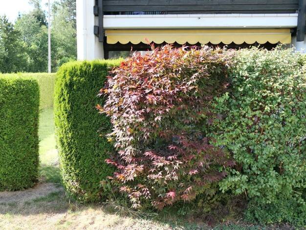 Wohnung zum Kauf 295.000 € 2 Zimmer 58,9 m² EG Bad Tölz Bad Tölz 83646