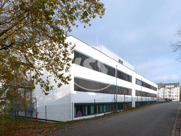 Bürofläche zur Miete provisionsfrei 8,50 € 1.255,8 m² Bürofläche Reichenhainer Straße 68a Bernsdorf Chemnitz , Sachs 09126